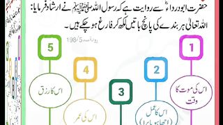 اسلامی معلومات Like share follow 286