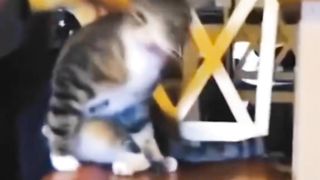 Wait for the end???? 2