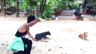 Troll Prank Dog Funny & fake Lion and Fake Tiger Prank To dog & Huge Box Prank to dog 6