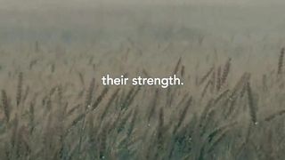 Trust in the Lord. He will renew your strength.(1)