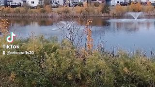 Beauty of nature 48