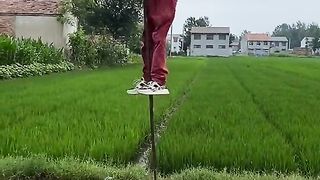 How to make funny ???????? amazing and nutrition facts ???? to