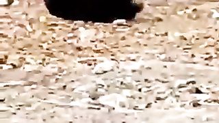 Если не ты то другая