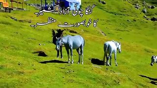 View of kashmir