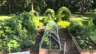 How We Feed our Family with a 20x40 ft. Garden - COMPLETE TOUR