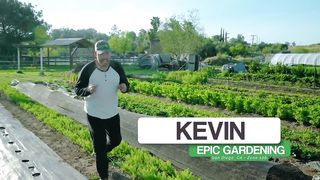 He Farms 35 Hours a Week By Himself and Makes 6 Figures.