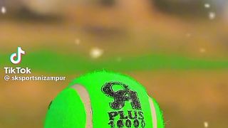 Cricket lover 12
