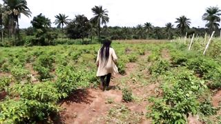 WEST AFRICA BIGGEST TOMATO AND CUCUMBER FARMING, I QUIT MY JOB TO START THIS AND MAKE MORE MONEY