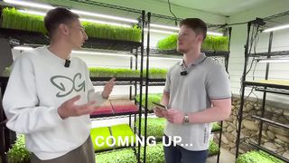 How He Turned $1k Into $12k_ Month from Microgreens (Local CEO Show Ep. 03 Donny Greens)