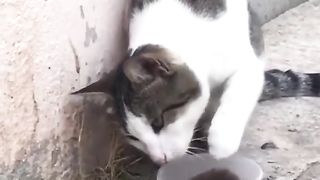 OMG ???? 5