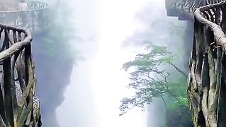 Nature short video