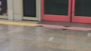 ride the monorail in South Korea