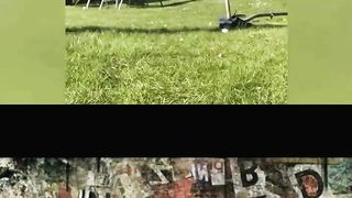 Ridiculous Incident vol 180