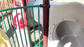bella ciou parkour hardwork training __money heist __ illigal Parkour pov #1000subscriber #viral.