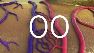 ROOT CAUSE OF PENILE BLOCKAGE IDENTIFIED