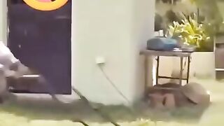 monst funny moments