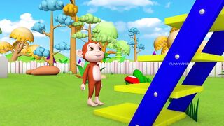 Funny animals