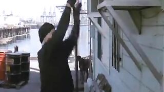 funny videos
