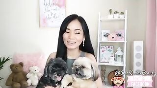 BEST WAYS TO TAKE CARE OF YOUR DOGS Tips