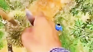 Amazing videos 2022