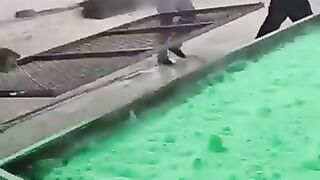 Farmer skills have reached new heights