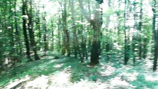 Waldspaziergang 2 / Лесная прогулка 2