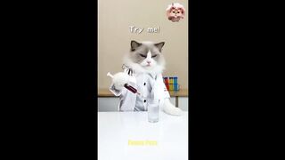 Cats Make Food 2022 ♥ That Little Puff Tiktok Compilation #73