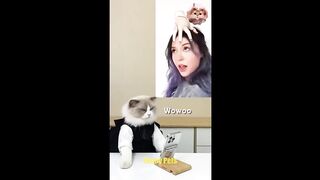 Cats Make Food 2022 ♥ That Little Puff Tiktok Compilation #72