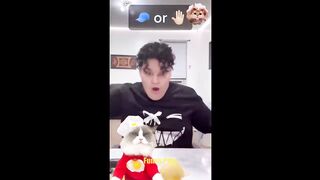 Cats Make Food 2022 ♥ That Little Puff Tiktok Compilation #71