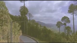 Murree patriota