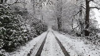 Winter landscape
