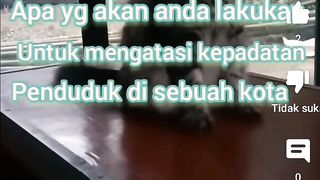 Teman terbaik