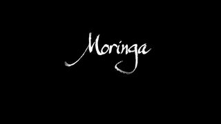 Moringa Benefits Documentary _ _The Miracle Tree_ _ #moringa #moringabenefits