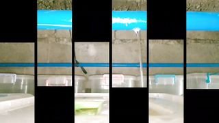 Crab fattening ni Vilma fish TV