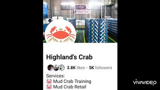 Highland's Crab_Chubby travels to a Crab fattening farm in Alfonso, Cavite.