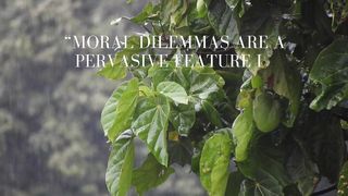 Quotes of the day #67 -Moral Reasoning at Work-