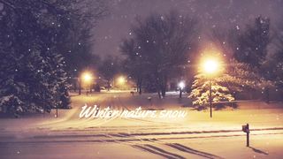 Winter nature snow