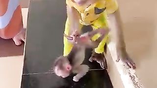 OMG_monkey_jacky_bring_baby_linda_go_in_the_home (360p).