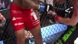 ???? Justin Gaethje’s leg kicks are just a whole different level ????????|  #pflmma #mma #combatsports →  ???? #PFL_MMA