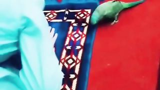 Parrot beautiful moment