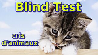 BLIND TEST LES ANIMAUX