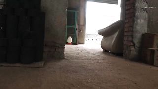 CAT vs MOUSE | CAT EATS MOUSE ALIVE | RAT EATEN BY CAT