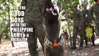 Salaknib: Joint forces K9 training
