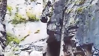 شارٹس
