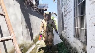 GIANT MURDER HORNET HUGE NEST REMOVAL OUTSIDE HOUSE