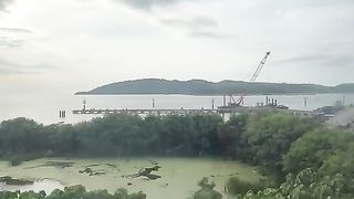 development