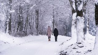 Winter Day