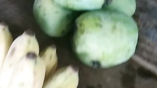 fresh bananas and mangoes