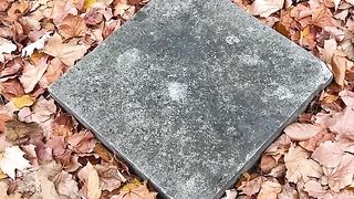 Amazing videos vol 174