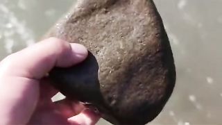 Amazing videos vol 178